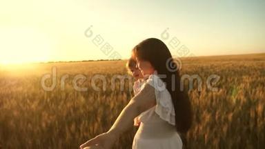幸福的一家人牵着手跑过田野。 美丽的女孩带着女儿带着麦子走在田野上，抱着她